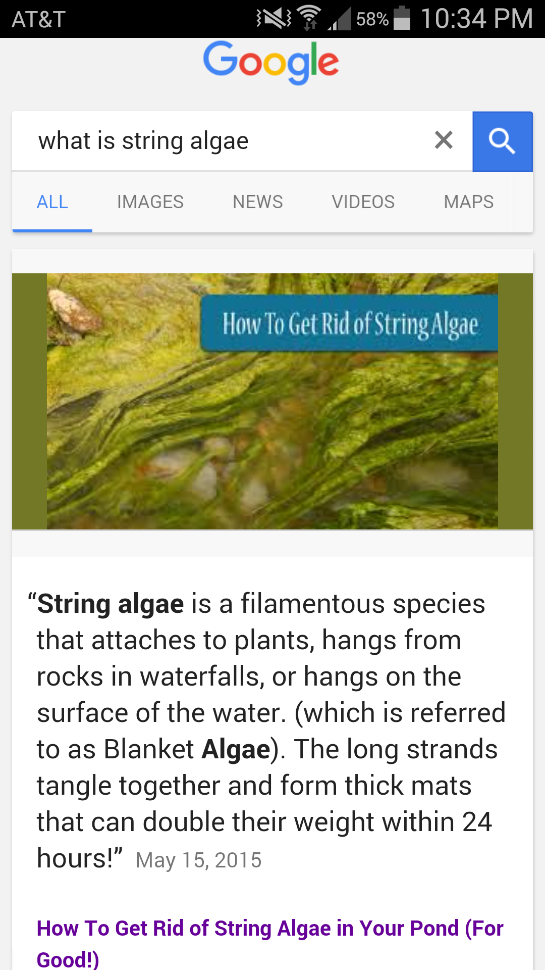 Stringalgaebox